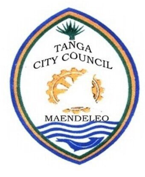 Tanga City Council